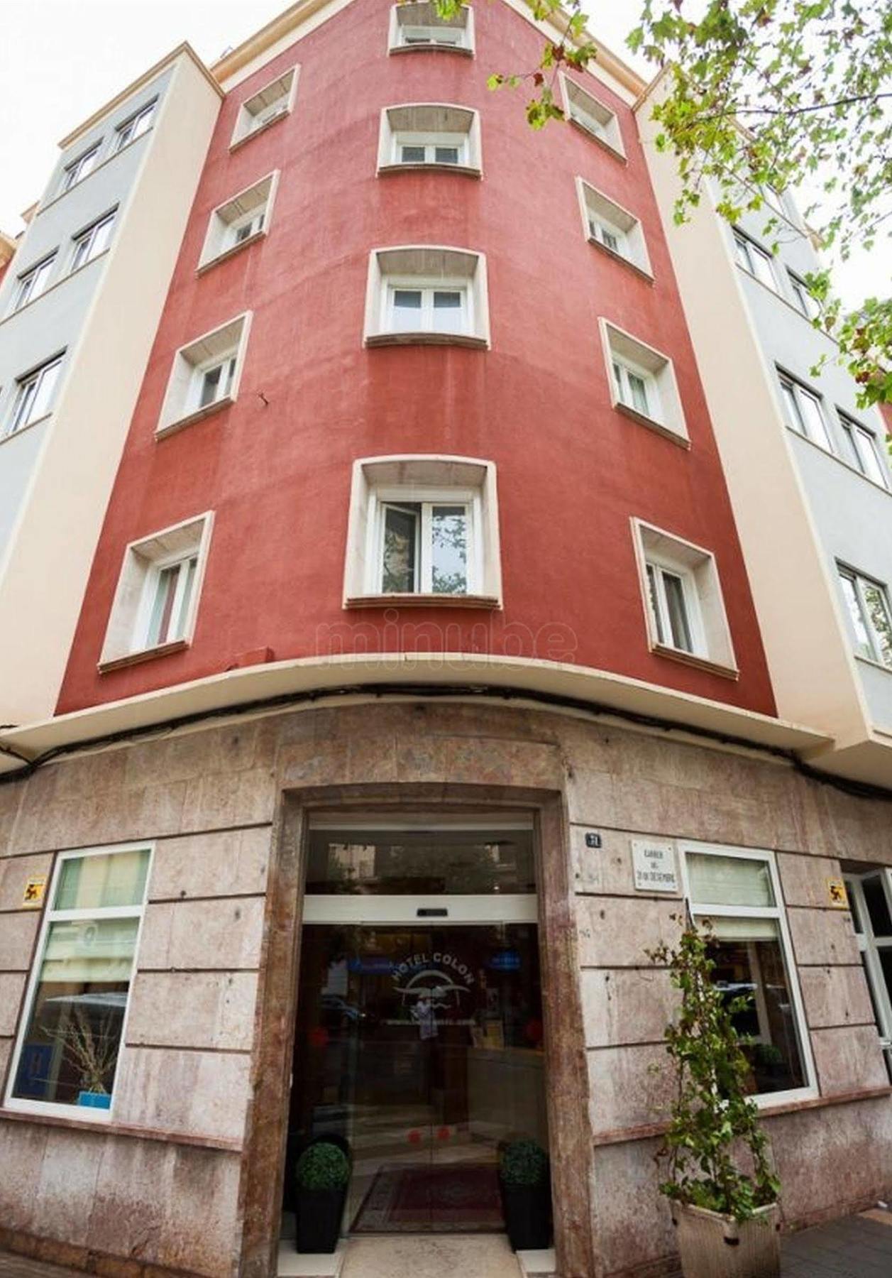 Colon Palma